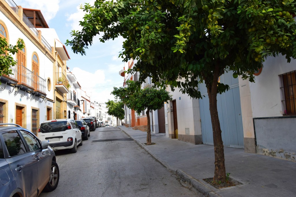Foto: Calle Pedro Pérez Fernández - Los Palacios y Villafranca (Sevilla), España