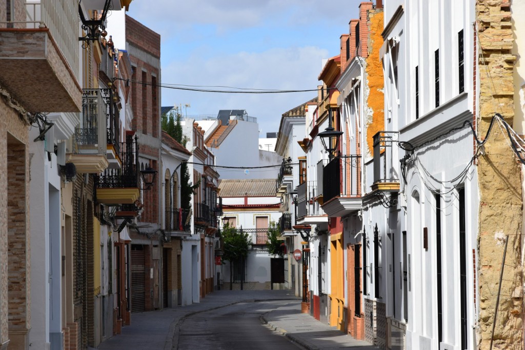 Foto: Calle Ntra. Sra. del Carmén - Los Palacios y Villafranca (Sevilla), España