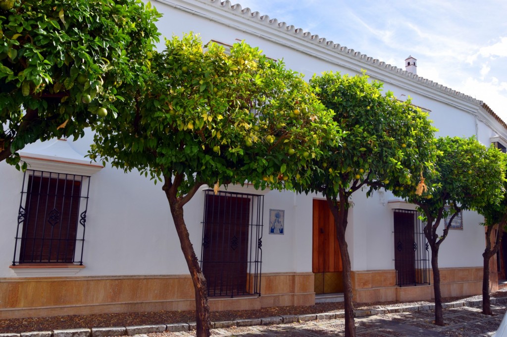 Foto de Los Palacios y Villafranca (Sevilla), España