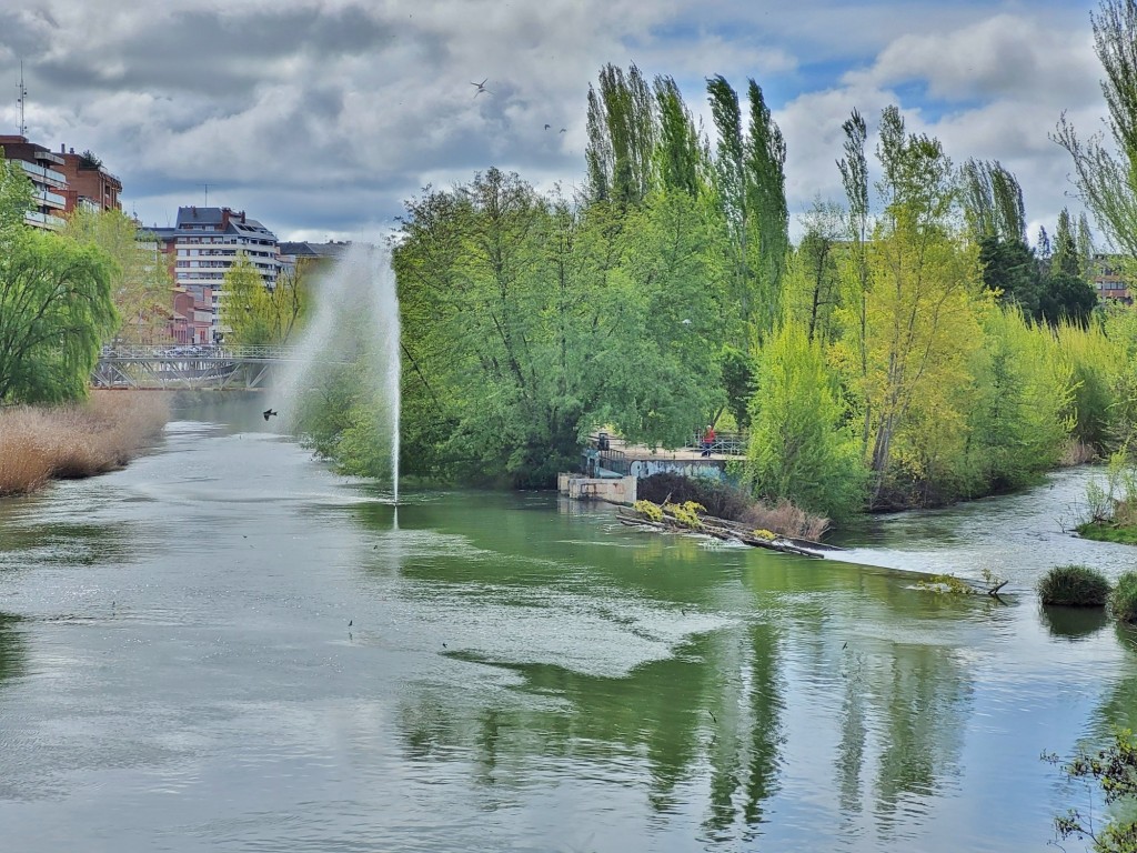 Foto: Río Carrión - Palencia (Castilla y León), España