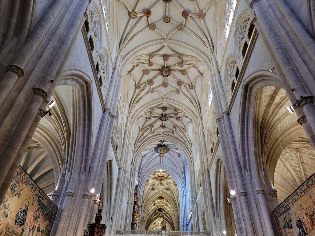 Foto: Catedral - Palencia (Castilla y León), España