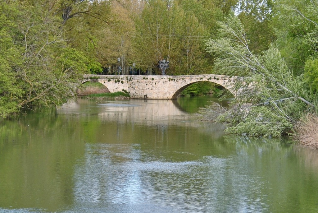 Foto: Río Carrión - Palencia (Castilla y León), España