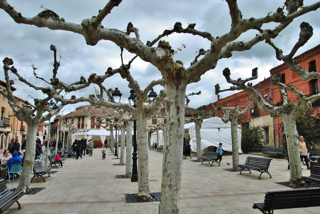 Foto: Centro histórico - Astudillo (Palencia), España