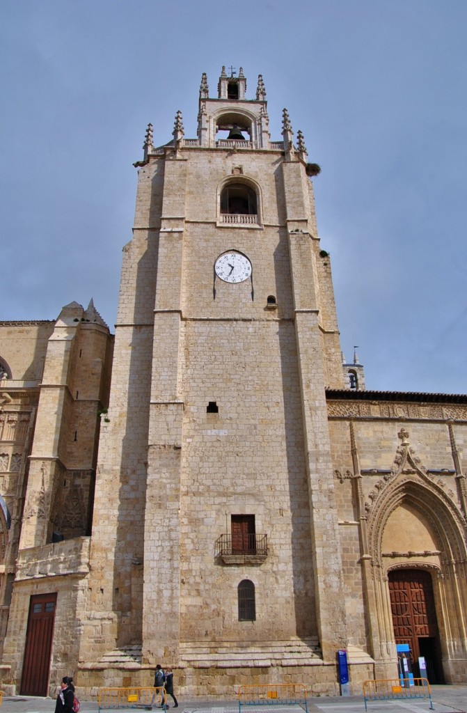 Foto: Catedral - Palencia (Castilla y León), España