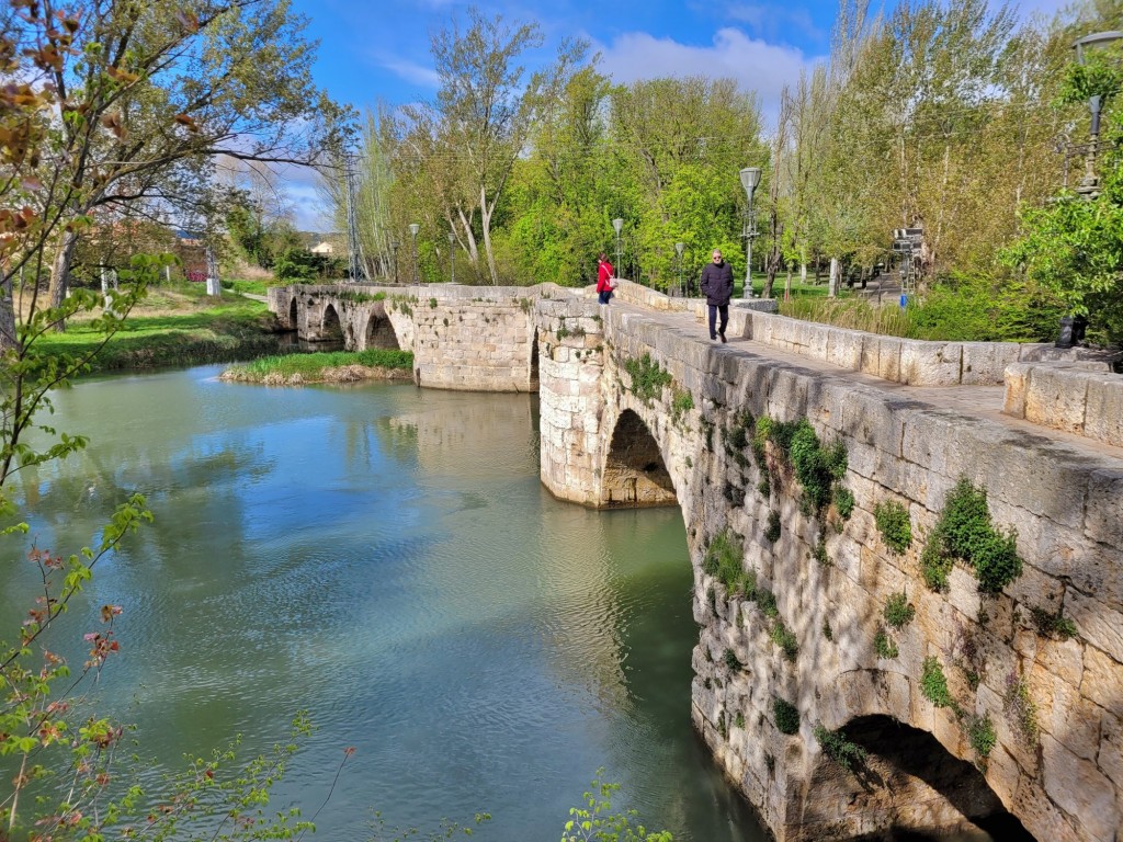 Foto: Río Carrión - Palencia (Castilla y León), España