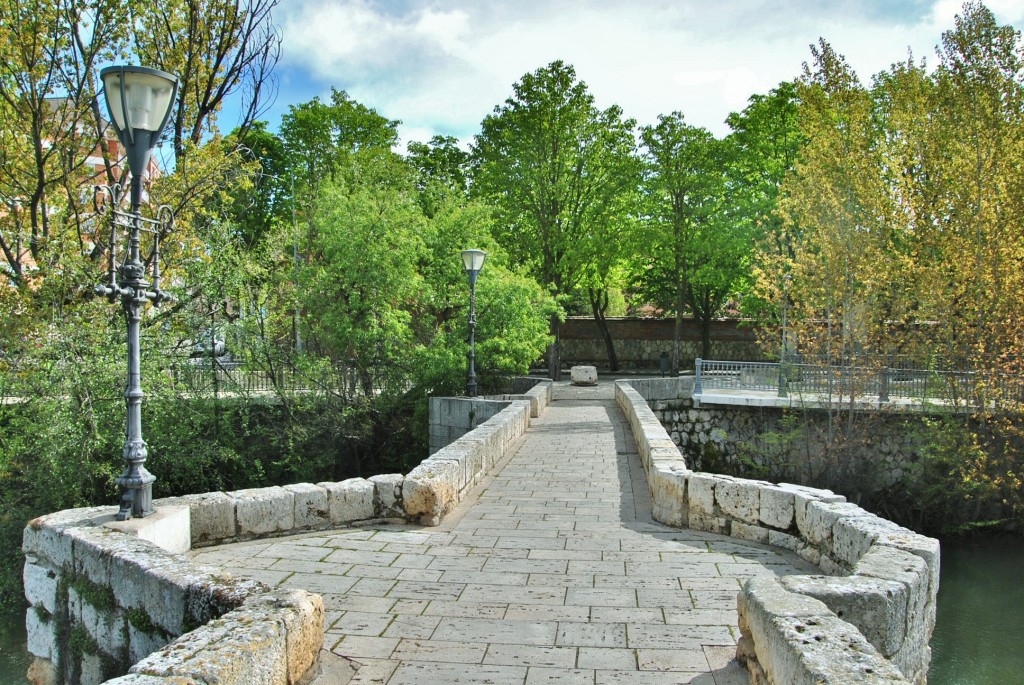 Foto: Puente medieval - Palencia (Castilla y León), España