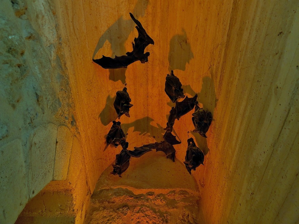 Foto: El Castillo Encantado - Trigueros del Valle (Valladolid), España