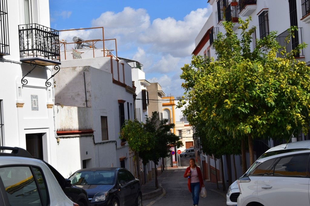 Foto de Los Palacios y Villafranca (Sevilla), España