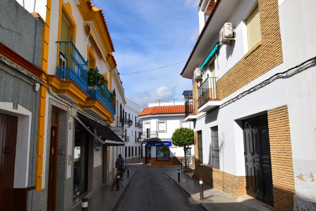 Foto: Calle de Pedro I - Los Palacios y Villafranca (Sevilla), España