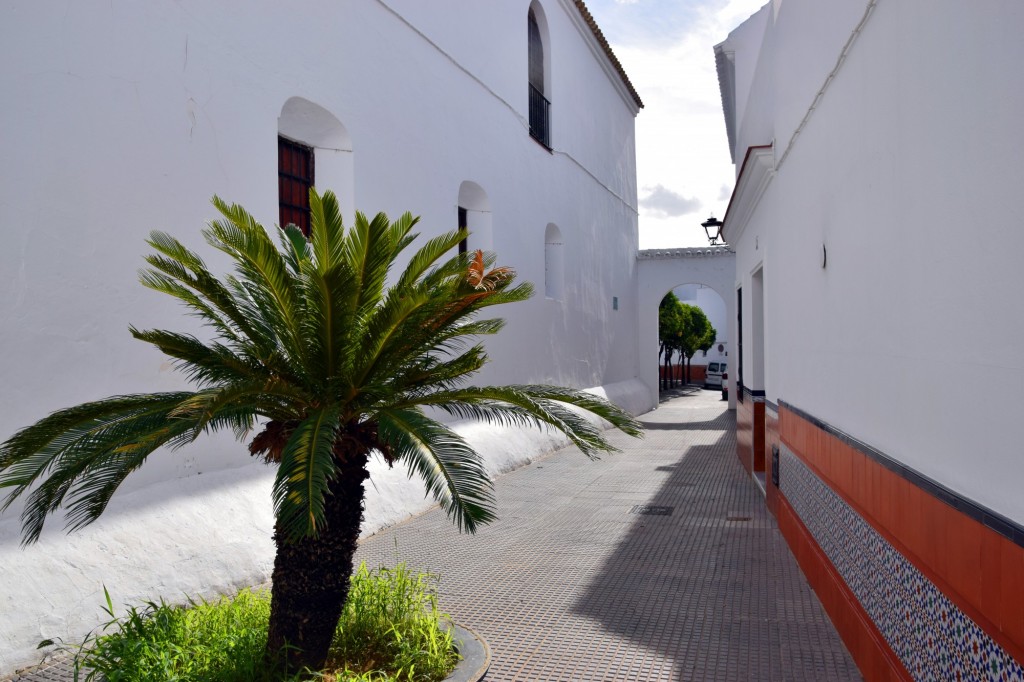 Foto: Callejón  F. Cortinez Murube - Los Palacios y Villafranca (Sevilla), España