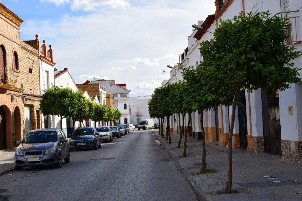 Foto: Calle Antonio Cruzado - Los Palacios y Villafranca (Sevilla), España