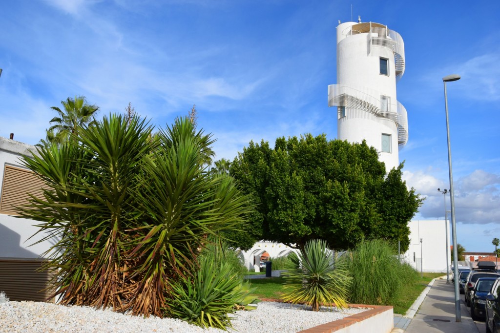 Foto: Calle El Palo - Los Palacios y Villafranca (Sevilla), España