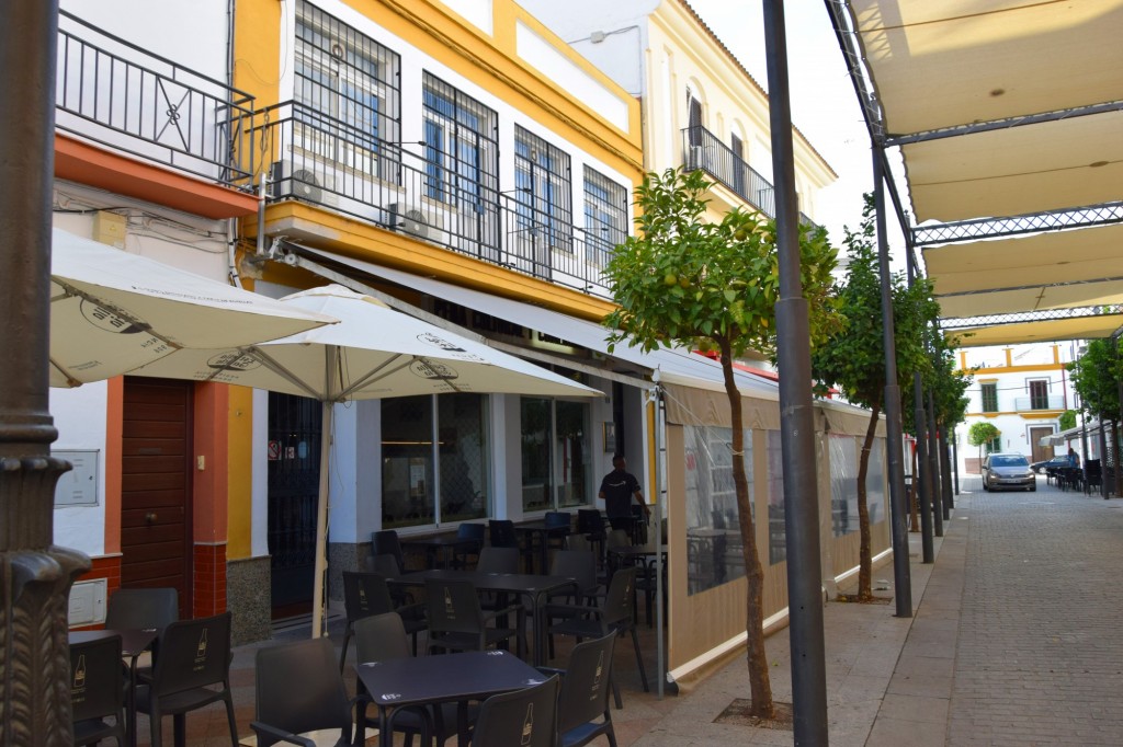 Foto: Asociación Cultural Babia Casino - Los Palacios y Villafranca (Sevilla), España