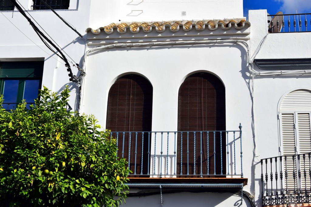 Foto de Los Palacios y Villafranca (Sevilla), España