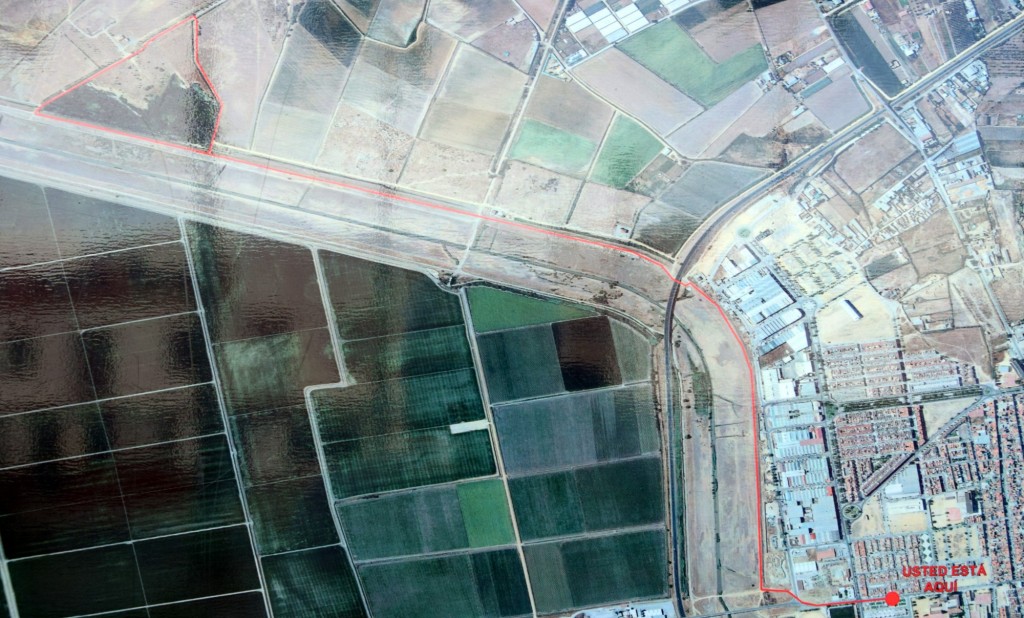 Foto de Los Palacios y Villafranca (Sevilla), España