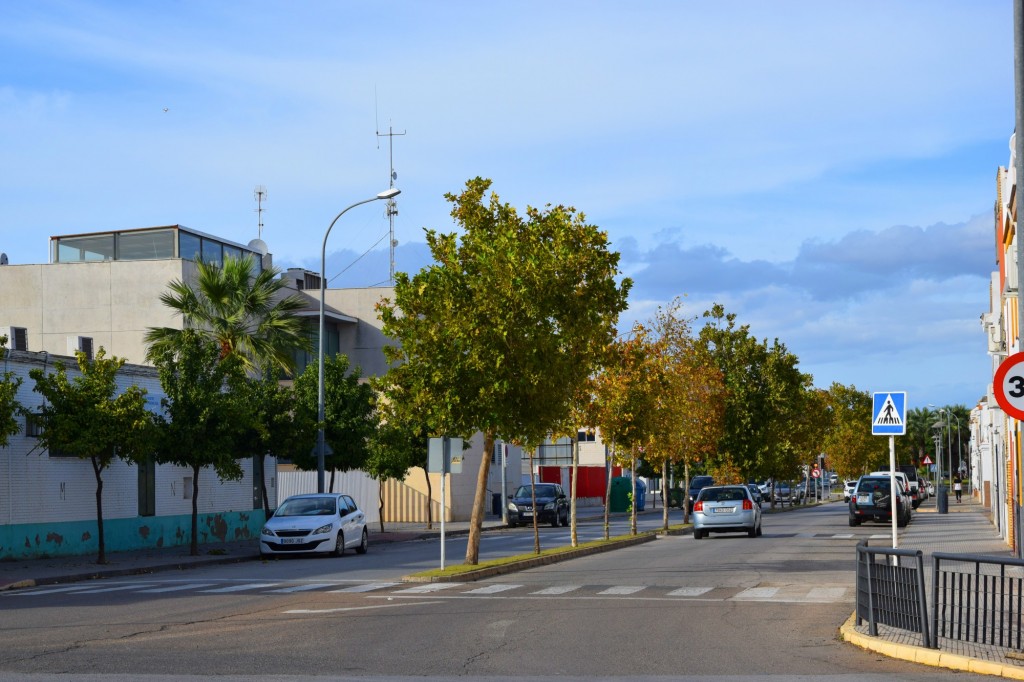 Foto: Calle Miguel Angel - Los Palacios y Villafranca (Sevilla), España