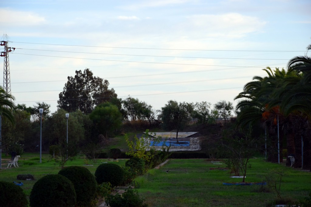 Foto: Parque Municipal Las Marismas - Los Palacios y Villafranca (Sevilla), España