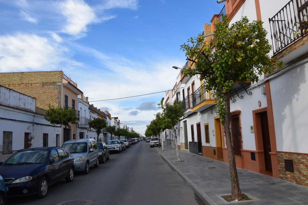Foto: Calle Picasso - Los Palacios y Villafranca (Sevilla), España