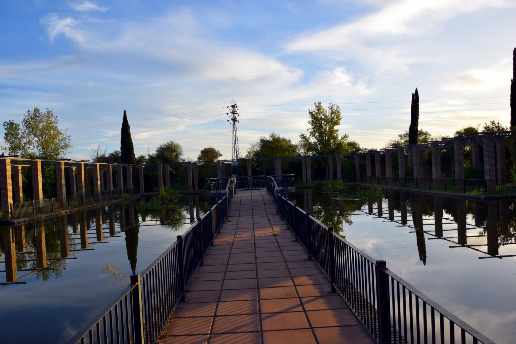 Foto: Parque urbano - Los Palacios y Villafranca (Sevilla), España
