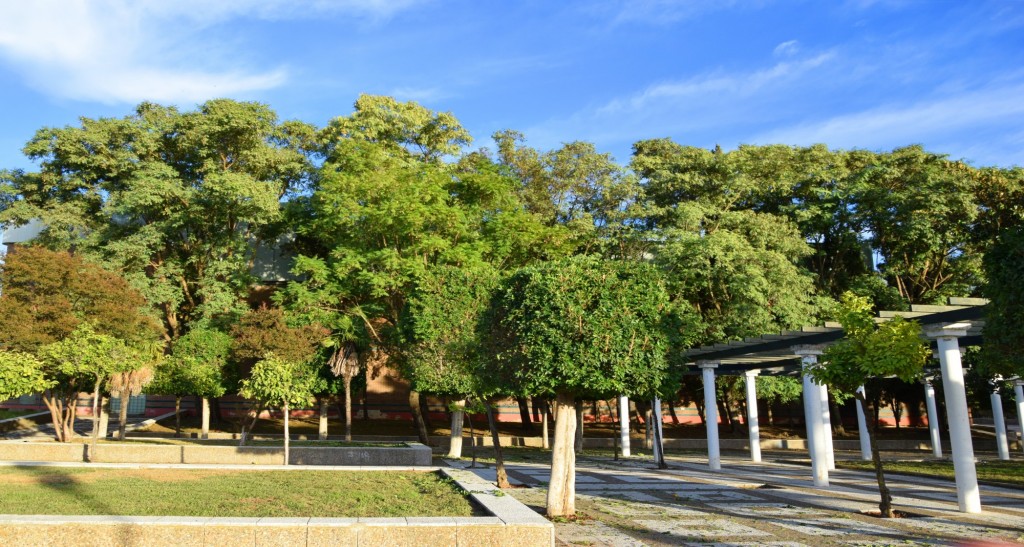 Foto: Jardines  del Pabellón - Los Palacios y Villafranca (Sevilla), España