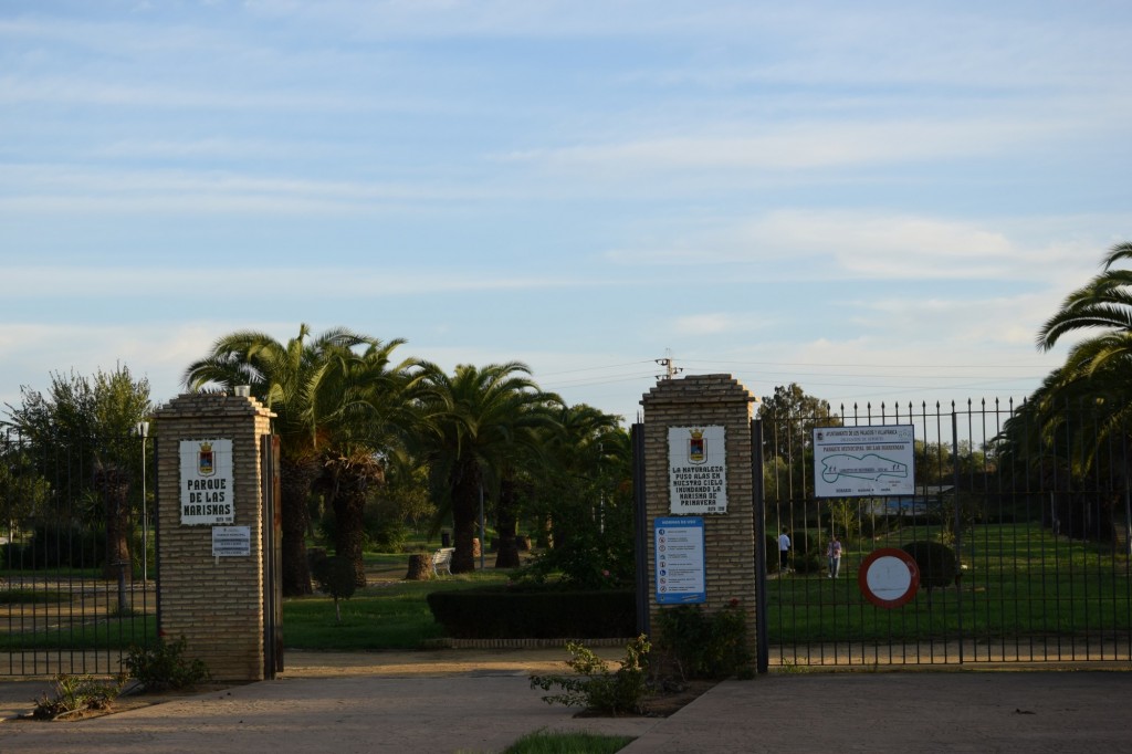Foto: Parque Municipal - Los Palacios y Villafranca (Sevilla), España