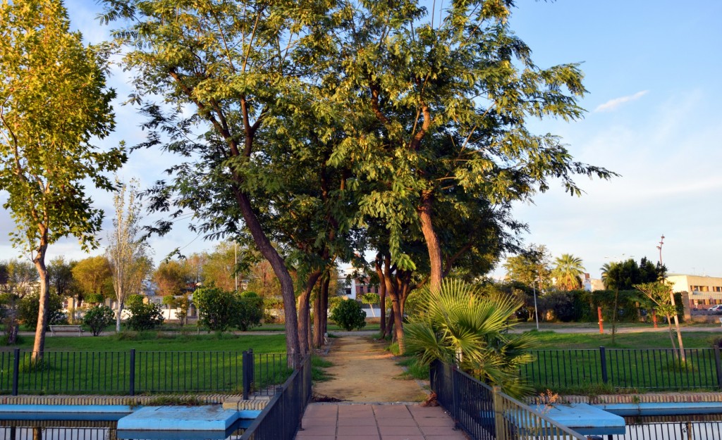 Foto: Parque Municipal Las Marismas - Los Palacios y Villafranca (Sevilla), España