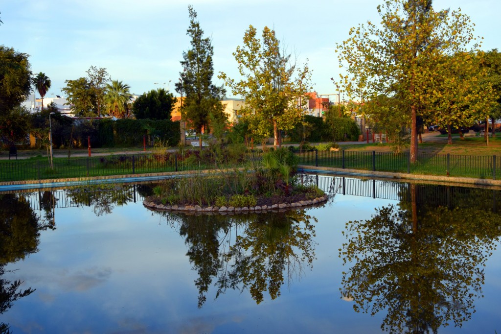 Foto: Parque Municipal Las Marismas - Los Palacios y Villafranca (Sevilla), España