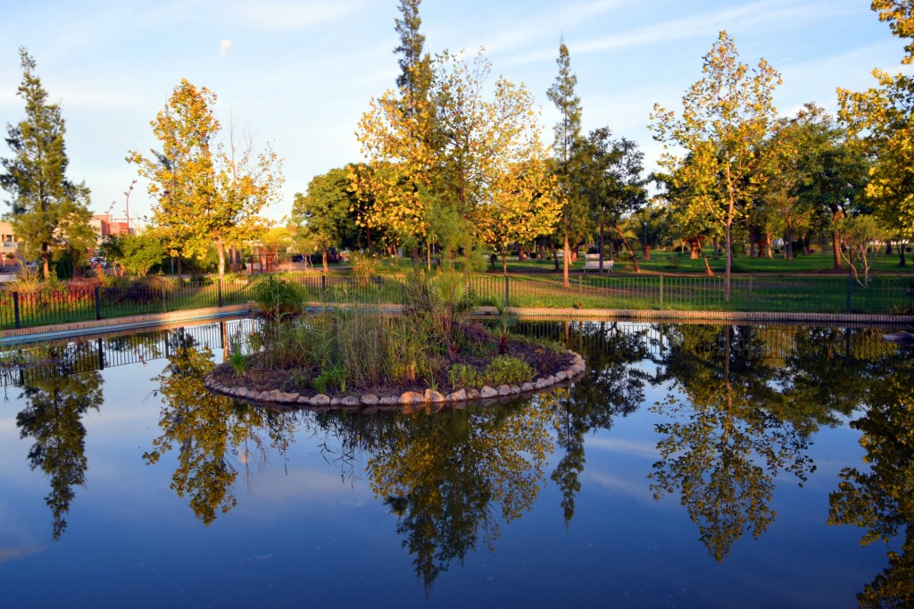 Foto: Parque Municipal Las Marismas - Los Palacios y Villafranca (Sevilla), España