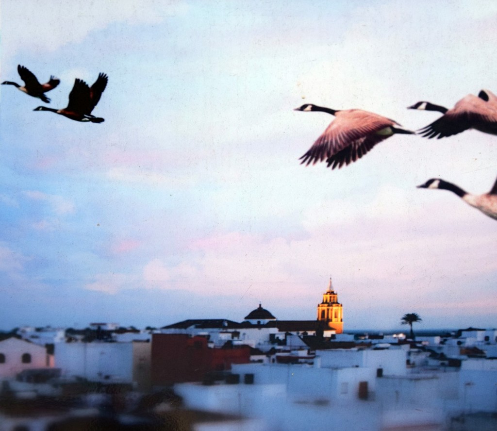 Foto de Los Palacios y Villafranca (Sevilla), España