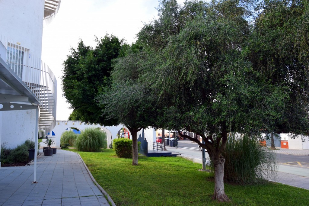 Foto: Plaza del Agua - Los Palacios y Villafranca (Sevilla), España