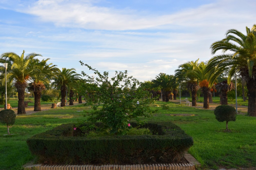 Foto: Alberga 50 especies de árboles distintas - Los Palacios y Villafranca (Sevilla), España