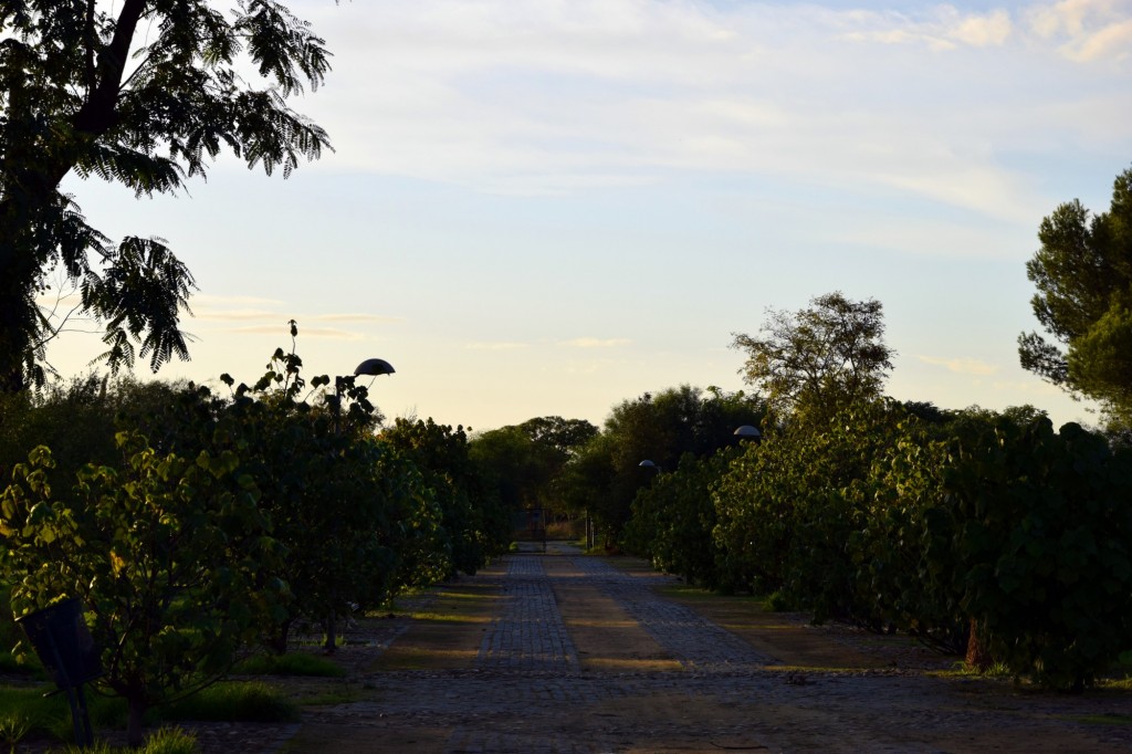 Foto de Los Palacios y Villafranca (Sevilla), España