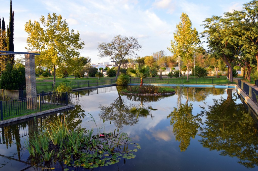Foto: Parque de las Marismas - Los Palacios y Villafranca (Sevilla), España