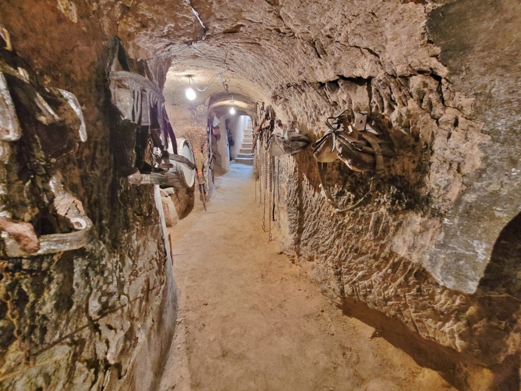 Foto: Bodegas - Baltanás (Palencia), España