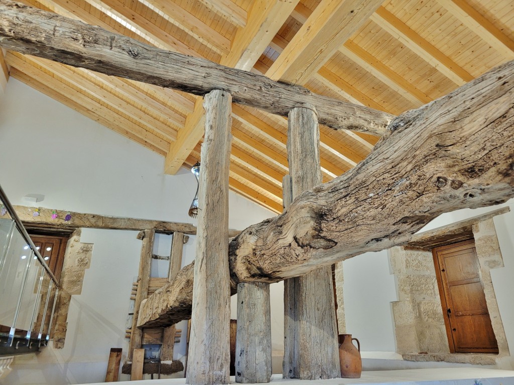 Foto: Lagar - Baltanás (Palencia), España