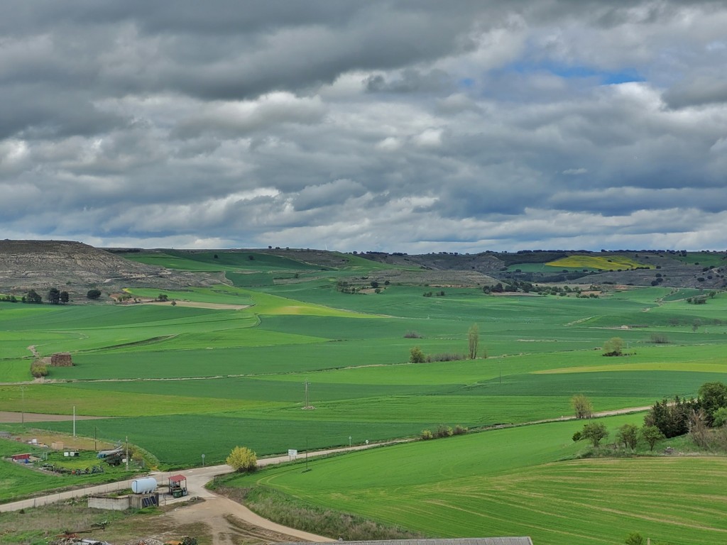 Foto: Paisaje - Baltanás (Palencia), España
