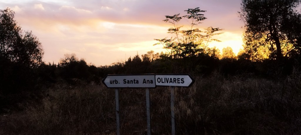 Foto: Direcciones - Villanueva del Ariscal (Sevilla), España
