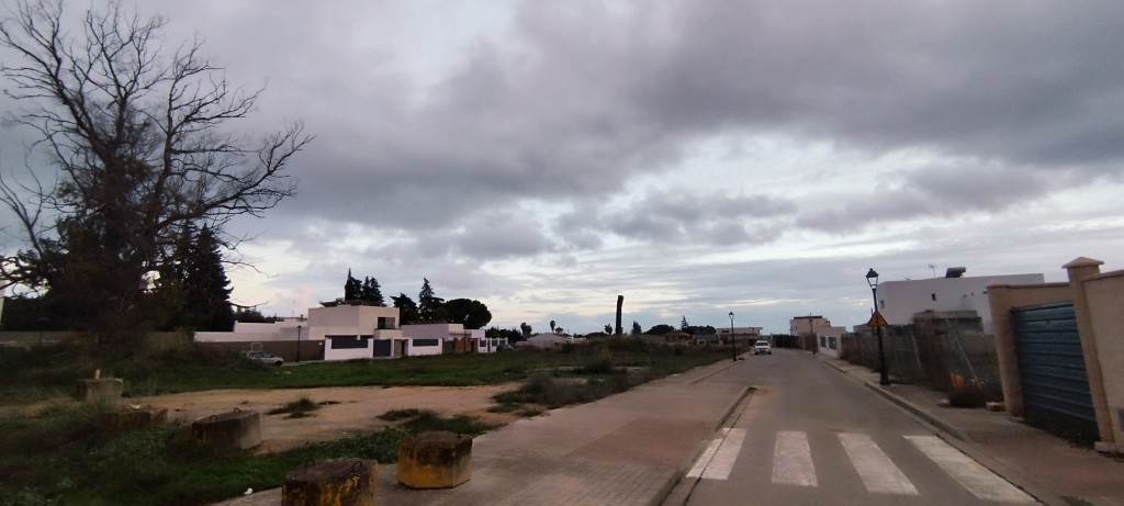 Foto: Camino de Umbrete - Villanueva del Ariscal (Sevilla), España