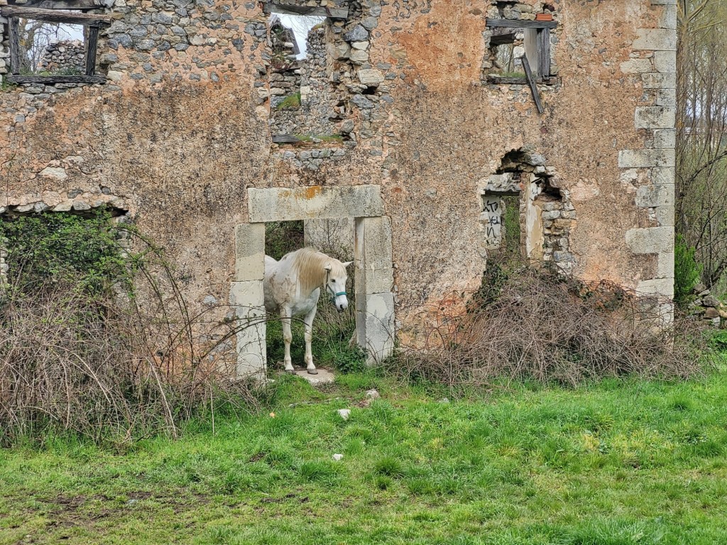 Foto: Ruinas - Cervera de Pisuerga (Palencia), España