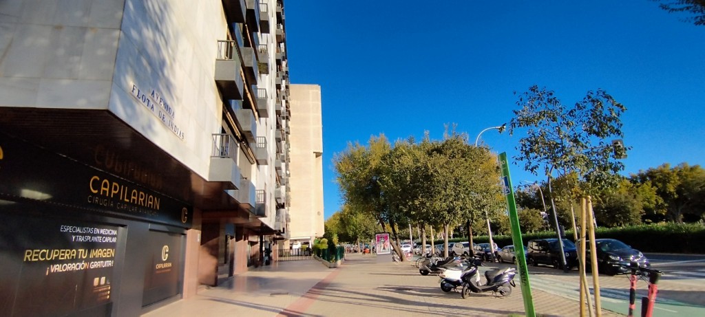 Foto: Avenida Flota de Indias - Sevilla (Andalucía), España