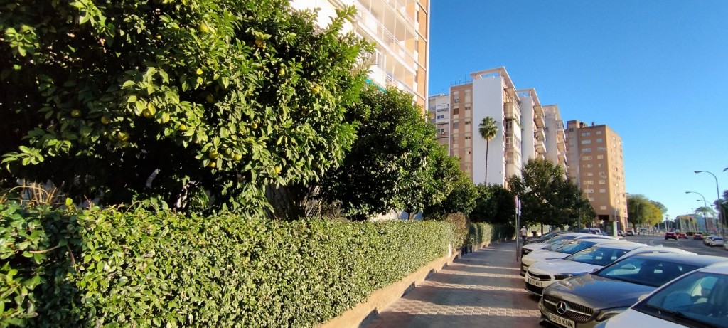 Foto: Virgen de la Oliva - Sevilla (Andalucía), España