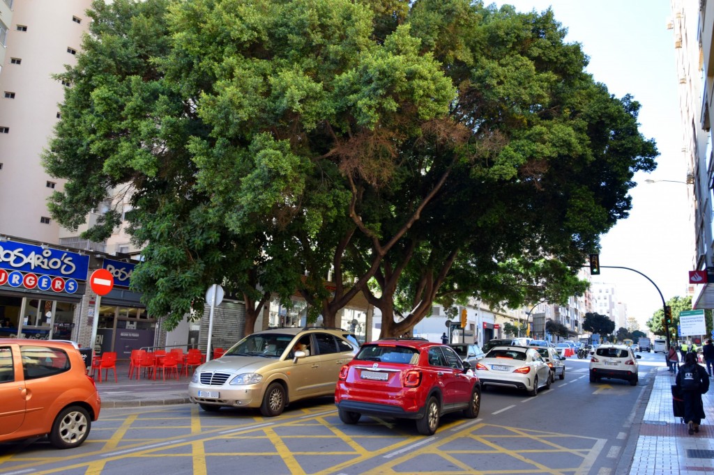 Foto: Denso tráfico en Martínez Maldonado - Málaga (Andalucía), España