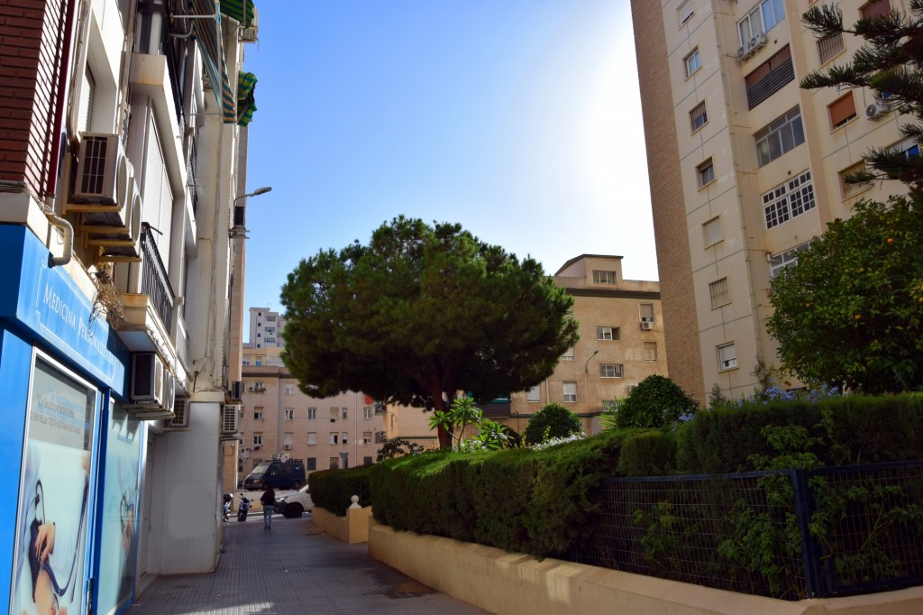 Foto: Jardines Igueldo - Málaga (Andalucía), España