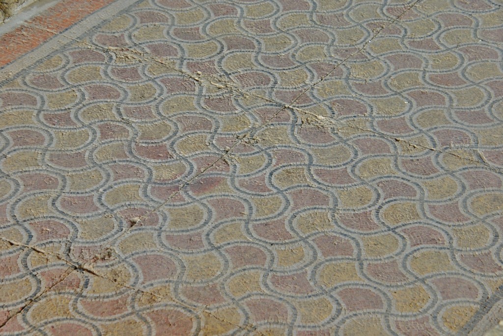 Foto: Villa romana La Olmeda - Pedrosa de la Vega (Palencia), España