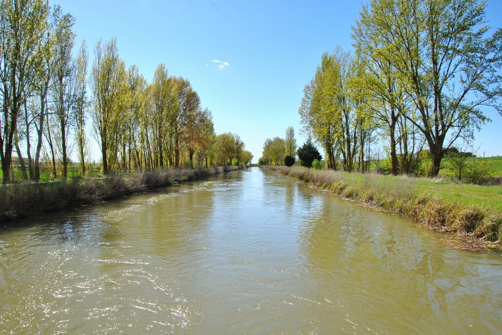 Foto: Canal de Castilla - Frómista (Palencia), España