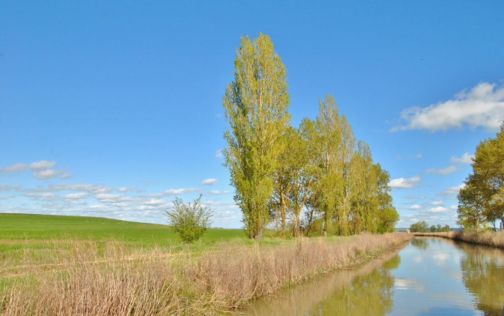 Foto: Canal de Castilla - Frómista (Palencia), España