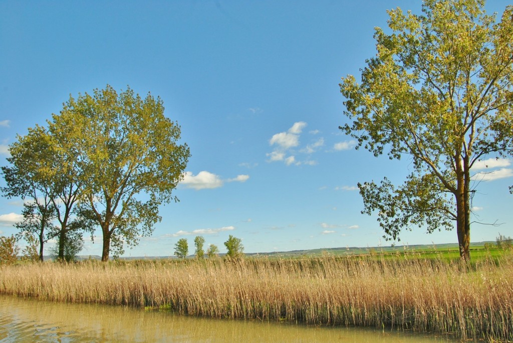Foto: Canal de Castilla - Frómista (Palencia), España