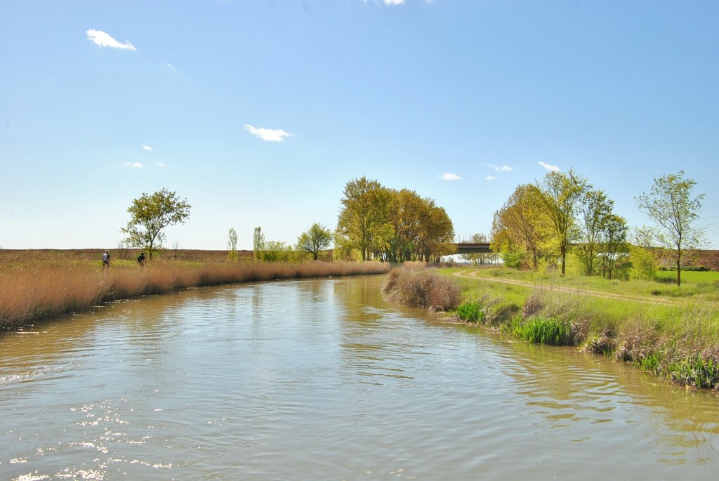 Foto: Canal de Castilla - Frómista (Palencia), España