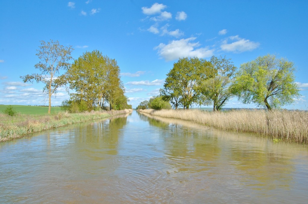 Foto: Canal de Castilla - Frómista (Palencia), España