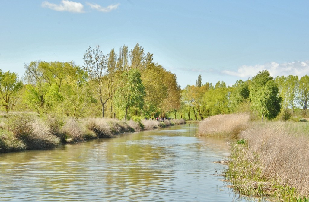 Foto: Canal de Castilla - Frómista (Palencia), España